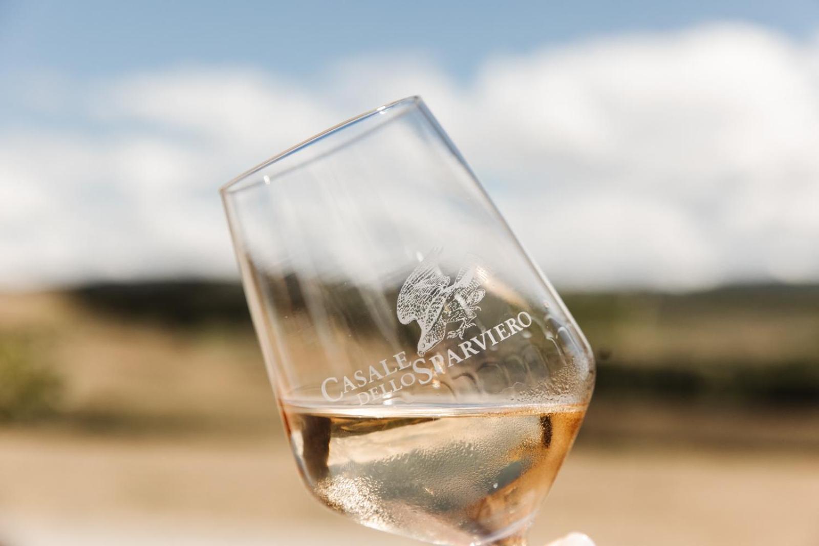 Agriturismo Casale Dello Sparviero Кастелина ин Кианти Екстериор снимка