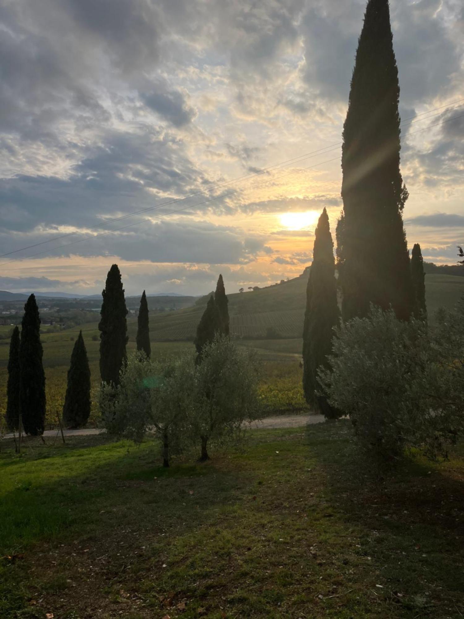 Agriturismo Casale Dello Sparviero Кастелина ин Кианти Екстериор снимка